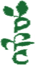 Uttar Pradesh Financial Corporation